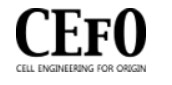 Company Name