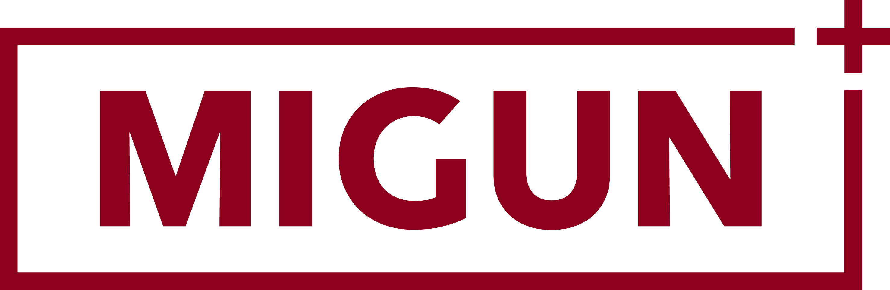 Company Name