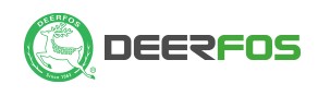 Company Name