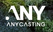 Company Name